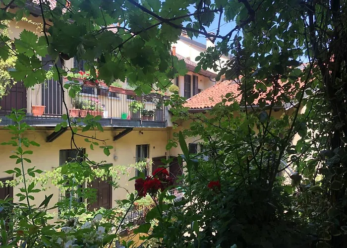 Il Tetto Fiorito Dell\'Isola