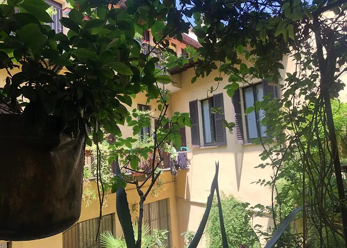 Il Tetto Fiorito Dell\'Isola